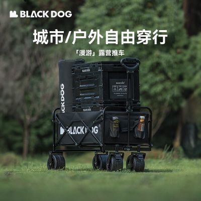 ڲBLACKDOGڹ¶ӪƳҰӪ̯۵СϳӪس69Ԫ