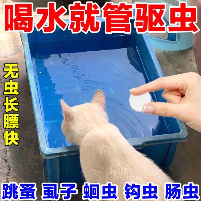 宠物驱虫药狗狗驱虫药猫咪厌食不吸收家用驱虫寄生蛔虫内外同驱药