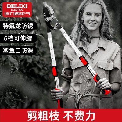 ڲ֦ʡ֦רô֦֦ǿ޼֦26.1Ԫ
