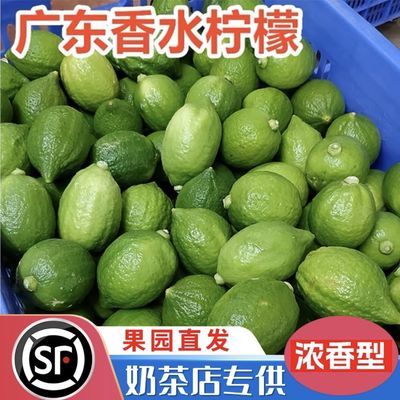 正宗广东香水柠檬新鲜青柠檬商用特级一级果应当季水果奶茶专用