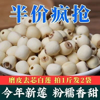 2024新莲上市 莲子干货特级无磺莲子新鲜磨皮白莲去芯莲批发T