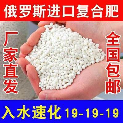 正品俄罗斯强效19-19-19高效速溶肥用于小麦玉米果蔬菜药等农作物