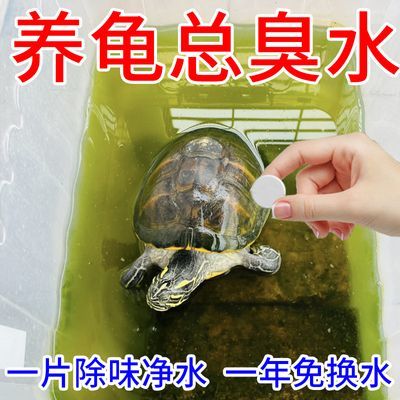 净水不死龟】乌龟水质净化剂净水剂杀菌清洁净化水质除臭液去腥臭