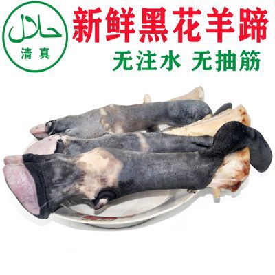 清真回族食品现宰现卖散养黑羊蹄优质新鲜羊蹄整只筋多肉多生鲜黑