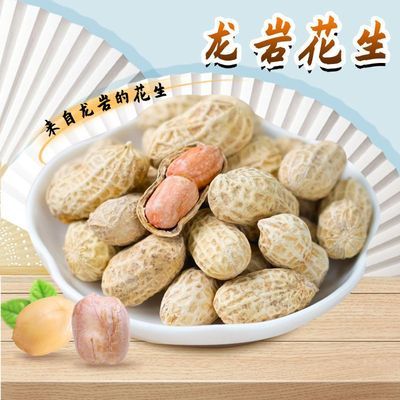 正宗龙岩水煮花生蒜味五香白衣下酒菜花生大袋500g