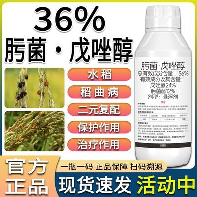 36%肟菌酯戊唑醇水稻保护治疗稻曲病复配杀菌剂工厂直销正品批发