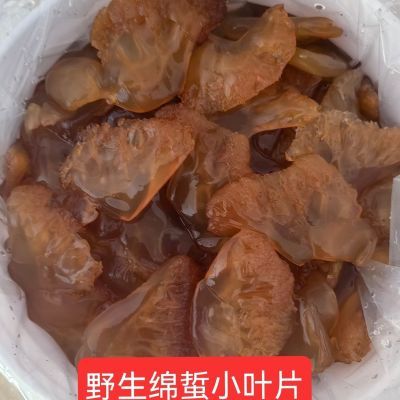 渤海湾野生绵蜇小叶片爽脆可口非即食海蜇凉拌菜桶装产地发货