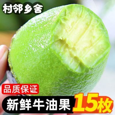 云南哈斯牛油果大果应当季新鲜水果熟透流油即食鳄梨孕妇整箱细腻