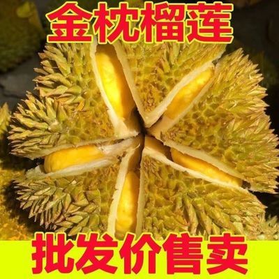 【自有果园】泰国金枕榴莲巴掌果新鲜带壳一整个金枕头榴莲批发