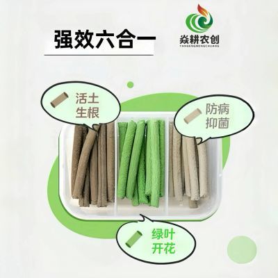 植物缓释棒绿植专用营养棒家用通用型氮磷钾花肥料绿植花卉缓释肥