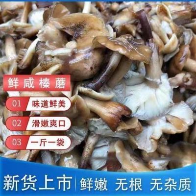 东北特产蘑菇野生榛蘑新鲜腌制2024新货包邮手工挑选无根焯水榛蘑