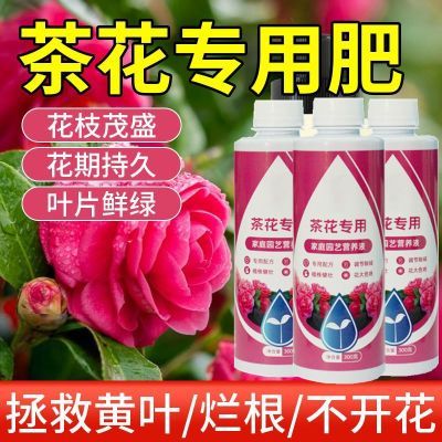 茶花专用肥料营养液幸福树三角梅植物叶面肥复合盆栽四季开花家用