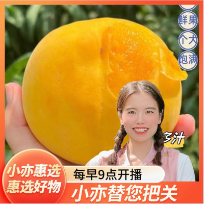 【小亦推荐】陕西高山锦绣黄桃 脆甜多汁的孕妇水果