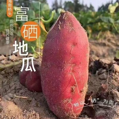 【海南澄迈县桥头地瓜】基地直发桥头地瓜粉糯香甜,板栗红薯地瓜