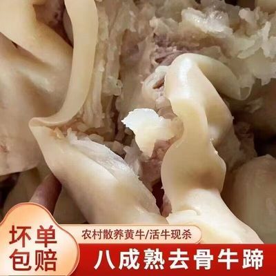 去骨牛脚牛筋牛蹄筋无骨牛蹄新鲜带皮黄牛肉牛蹄皮清真牛筋头巴脑