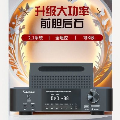 3声道前胆后石前级功率放大器蓝牙USB解码胆机功放机全遥控DJ200