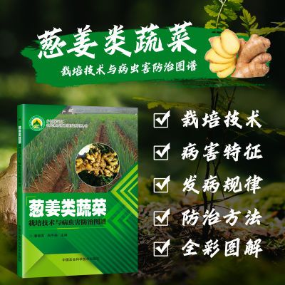 ڲн߲༼벡溦ͼ 13ֳ溦 14ֲ11.7Ԫ