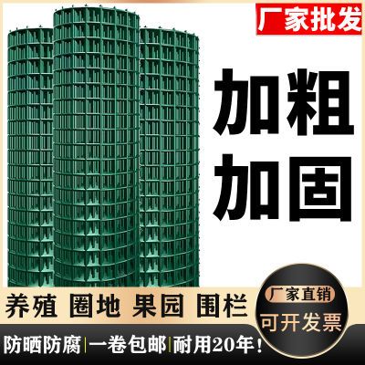 加粗铁丝网养鸡围栏网养殖网鱼塘防护网铁网格网农用围地网拦鸡网