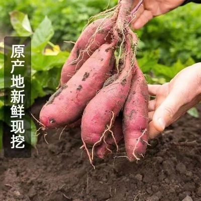 【当年新果】海南桥头地瓜,粉糯香甜,板栗蜜薯,榴莲蜜薯地瓜