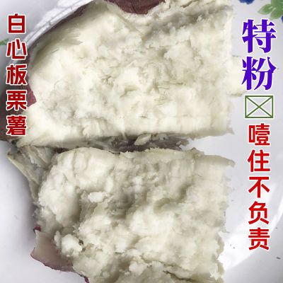 河南新鲜白心红薯白心板栗薯白薯白瓤地瓜粉番薯紫薯红心薯干面甜