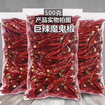 精品】特辣魔鬼干辣椒辣椒巨辣印度小米辣椒辣椒朝天椒红辣椒批发