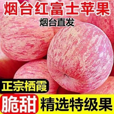 【脆甜】烟台红富士苹果产地直发酸甜当季新鲜薄皮条纹冰糖心批发