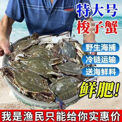 【新货上岸】梭子蟹鲜活冷冻特大海螃蟹白蟹公蟹母蟹飞蟹海鲜批发