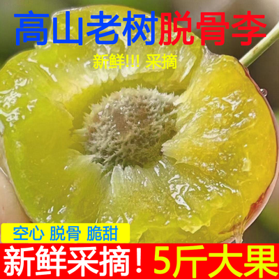 四川脱骨李小脆红半边红茵红李五月脆新鲜采摘应季孕妇水果随机发