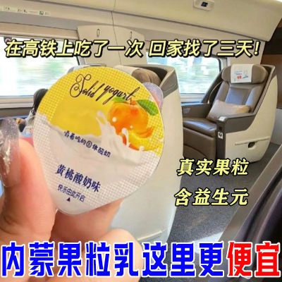 【特惠500g】益生元果粒乳酪非驼奶高铁同款高钙奶酪内蒙特产20g