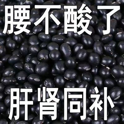 (黑豆打豆浆专用黑豆打豆浆醋泡豆浆日照绿茶250g非转基因黄