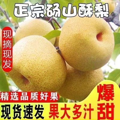 【精品彩箱】安徽砀山梨酥梨3/10斤应季新鲜梨子脆甜多汁彩箱包邮