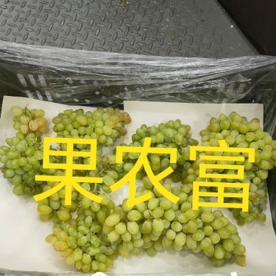 冬枣包装纸水果垫纸筐盖果蔬菜筐垫纸吸水纸金手指葡萄妮娜皇后纸