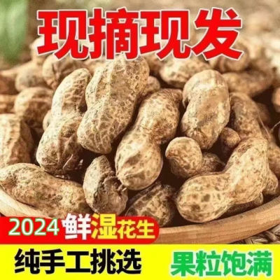 湿花生带壳新鲜2024新货当季农家自种现挖现发生花生可水煮鲜花生