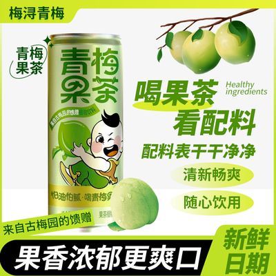 青梅果茶植物饮料天然优质品质精选健康(中国野梅之乡)严选2罐装