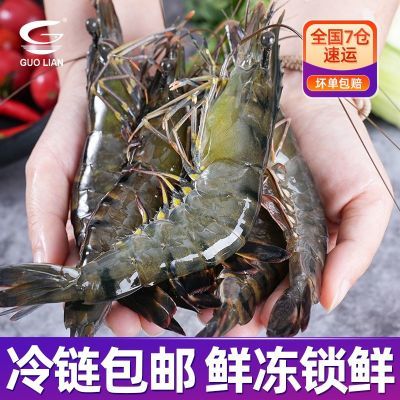 国联水产特大号黑虎虾1kg/盒26-30只水冻斑节虾大虾基围虾海虾