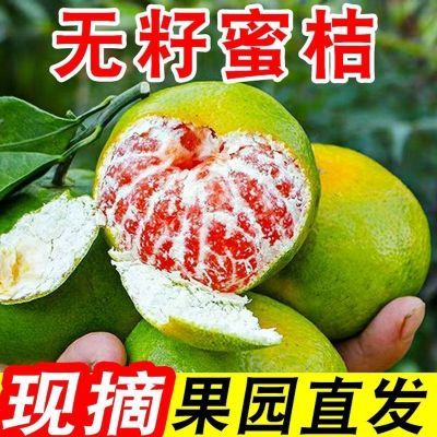 宜昌早熟青皮蜜橘薄皮橘子孕妇新鲜水果酸甜桔子整箱青皮桔子批发