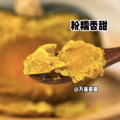 山东原产地直发甜糯贝贝南瓜正品减脂板栗味整箱正宗老南瓜小南瓜