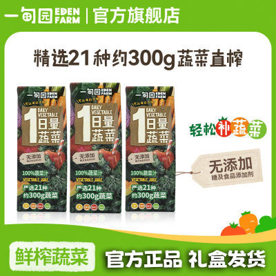 一甸园100%蔬菜汁200ml盒装果蔬汁21种蔬菜约300g新鲜直榨整箱装