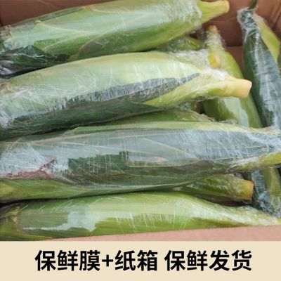 云南新鲜水果甜玉米棒子生熟吃榨汁煲汤3/5斤苞米棒子包谷低脂代