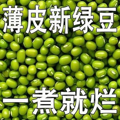 薄皮新绿豆东北农家五谷杂粮精品解暑绿豆汤小绿豆粥散装绿豆批发