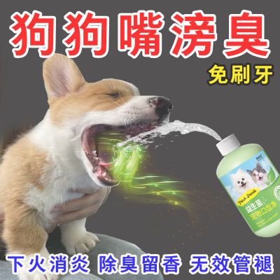 生菌洁齿水狗狗牙结石去口臭口腔喷雾猫咪狗狗牙齿清洁除臭神器