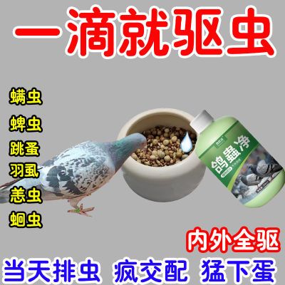 鸽虫清毛滴虫赛鸽信鸽肉鸽内外驱虫鹦鹉鸟用养鸽常备鸽子专用品