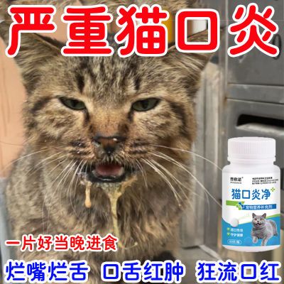 猫咪经常烂嘴流口水不吃饭没精神猫咪缺乏复合维生素补营养增免疫