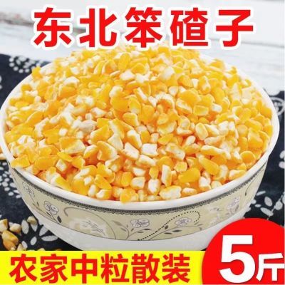 新货东北特产新大碴子玉米碴子大碴粥颗粒便宜食用新鲜非转基因