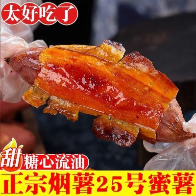 山东烟薯25号新鲜农家自种糖心流油正宗烤薯店地瓜蜜薯沙地番薯