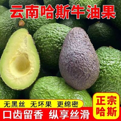 哈斯牛油果新鲜水果巨无霸国产鳄梨应季熟透孕妇即食宝宝辅食包邮