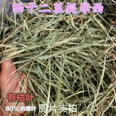 首单立减当季二茬晒干北提摩西幼年兔兔龙猫荷兰猪豚鼠磨牙草食用