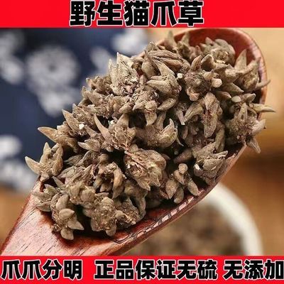 正品云南野生猫爪草中草药材水洗正宗猫抓草粉干货郁金夏枯草泡茶