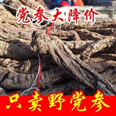 党参大条甘肃党参正宗宠物周边当归黄芪茶泡水炖汤无硫新货党参条