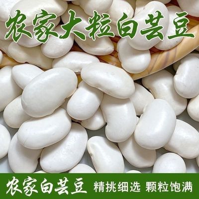 白芸豆云南白豆新货白云豆农家自种大雪杂粮粗粮批发五谷杂粮大豆